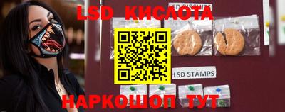 прущие грибы Коммунар