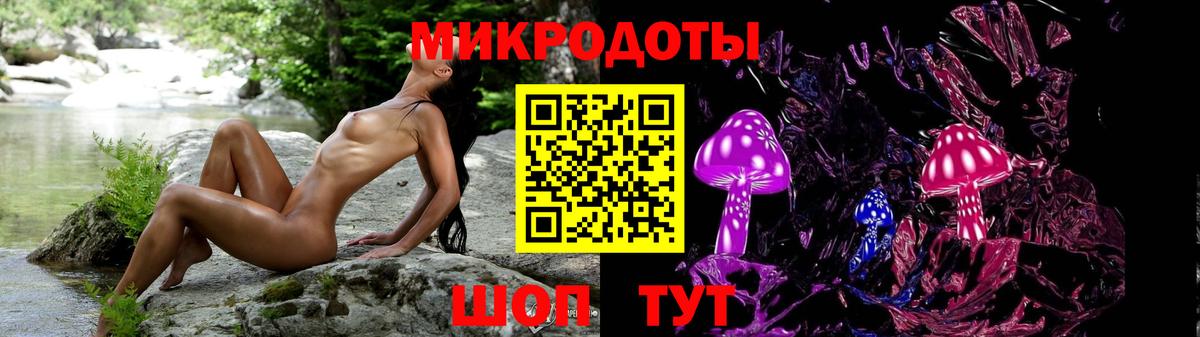 Псилоцибиновые грибы MAGIC MUSHROOMS Славгород